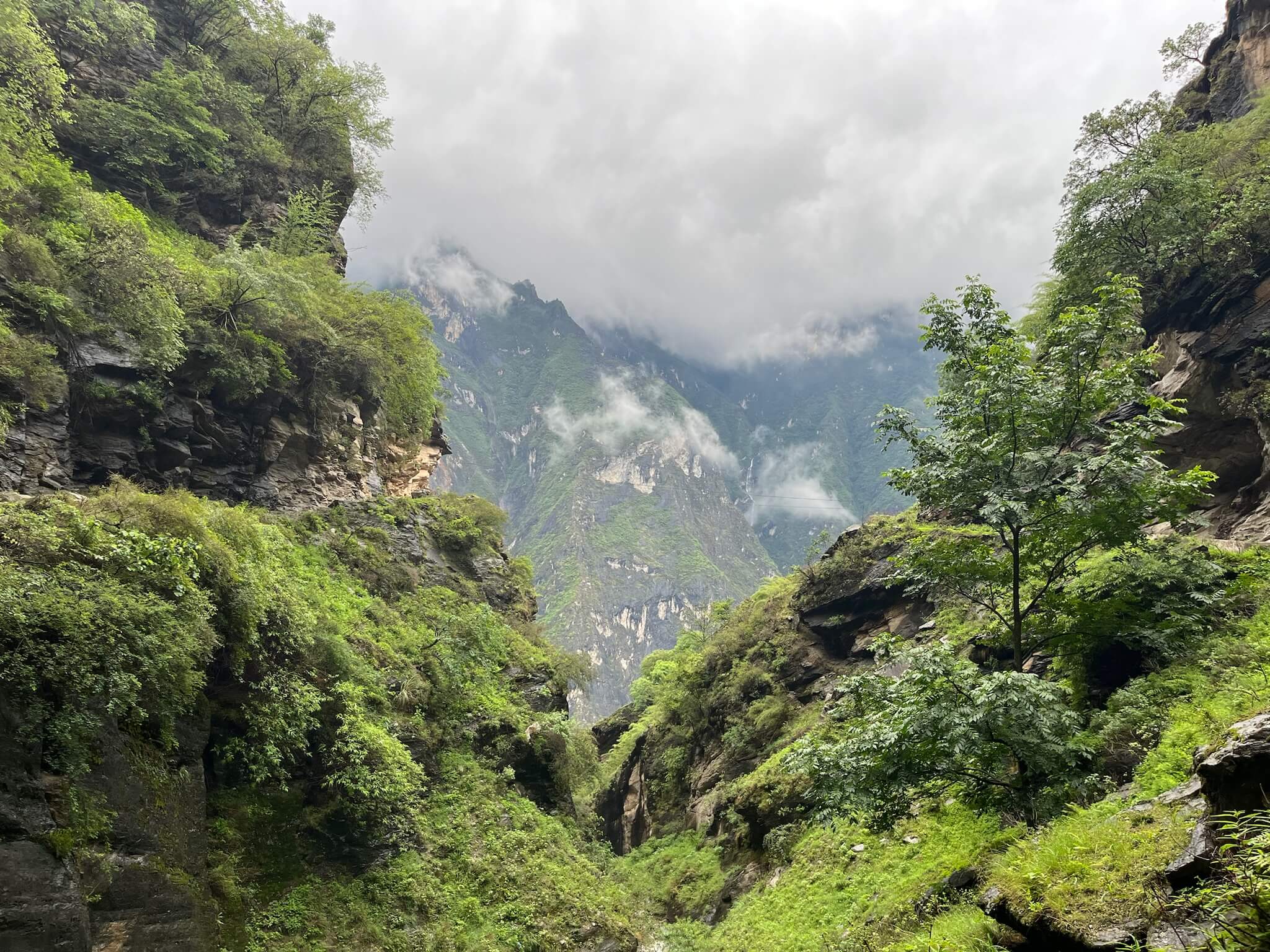 Tlg Trek View