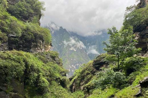 Tlg Trek View