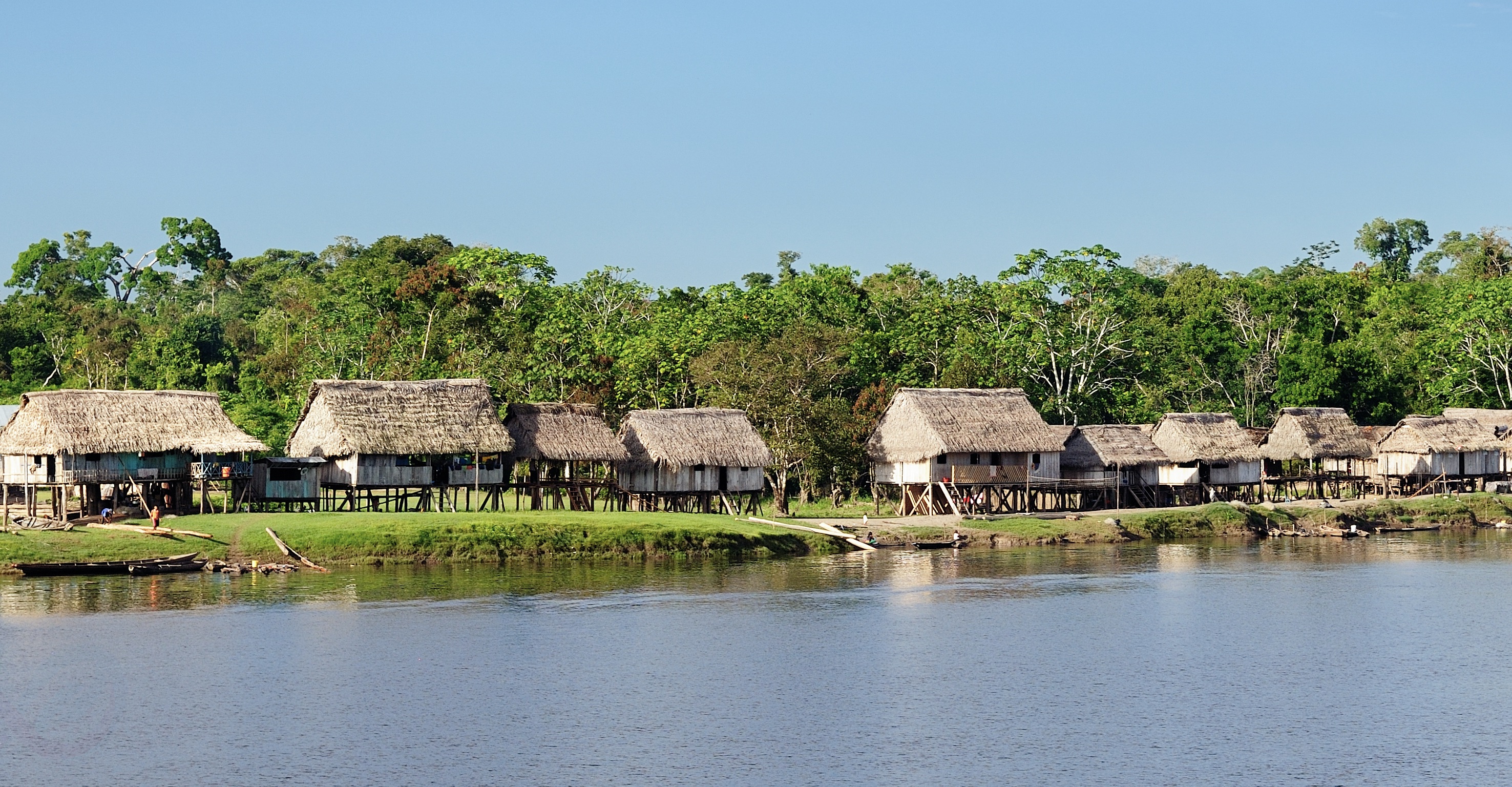 Amazonas 4 (1)