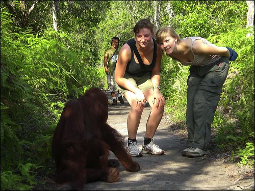 Borneo Eco Tour Gallery 2