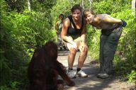 Borneo Eco Tour Gallery 2