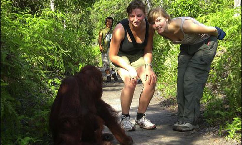 Borneo Eco Tour Gallery 2