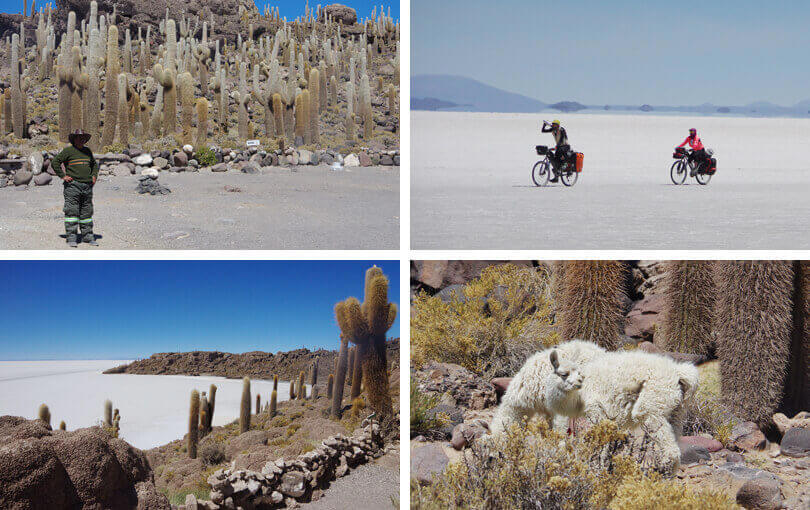 Isla de los Pescadores, Uyuni, Bolivia