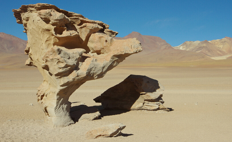 Stone Tree in Bolivia