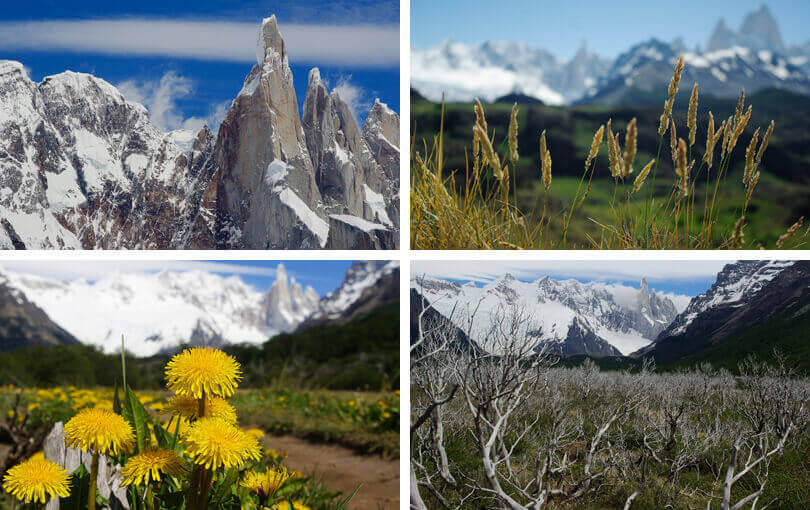 Hike El Chalten to Laguna Torre