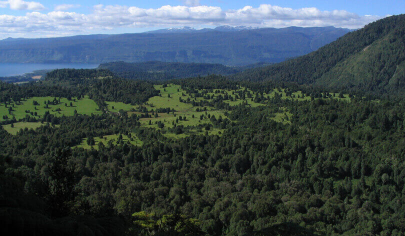Things to do in the Chilean Lake District - hiking