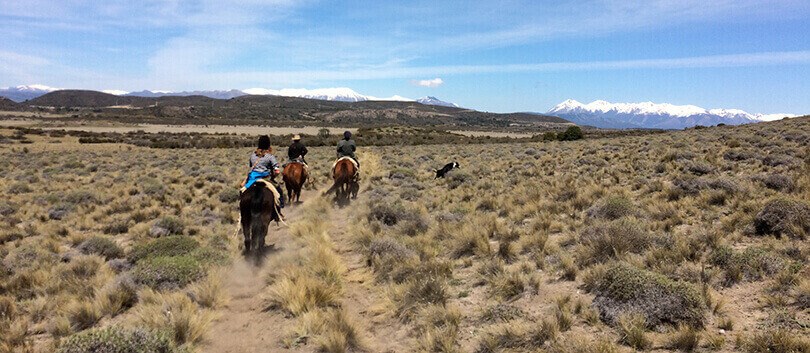 things to do in the Argentine Lake District - horse riding