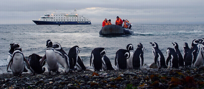 Magdalena Island, Tierra del Fuego