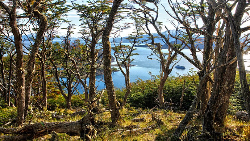 Wulaia Bay, Tierra del Fuego