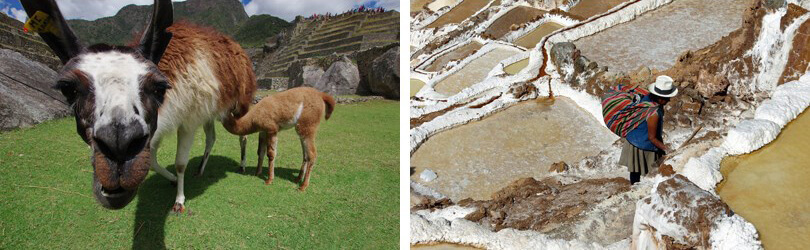 Maras Salt Ponds in the Sacred Valley