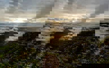 Image for: Bellavista Cloud Forest