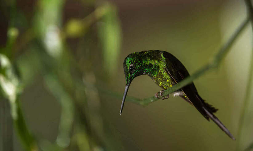 Excellent birdwatching 