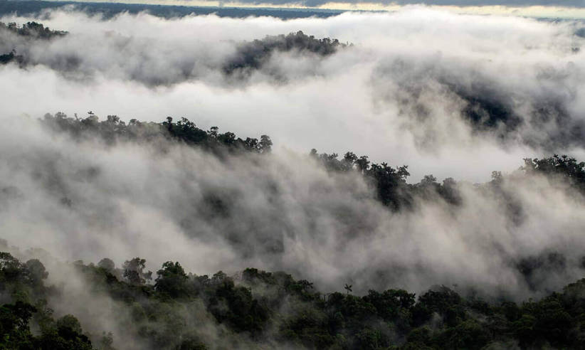 Experience a cloud forest 