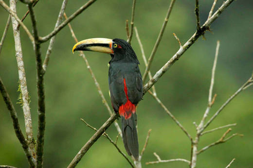 Great birdlife all around 