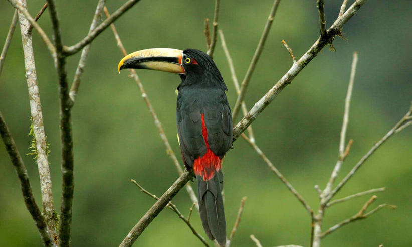 Great birdlife all around 
