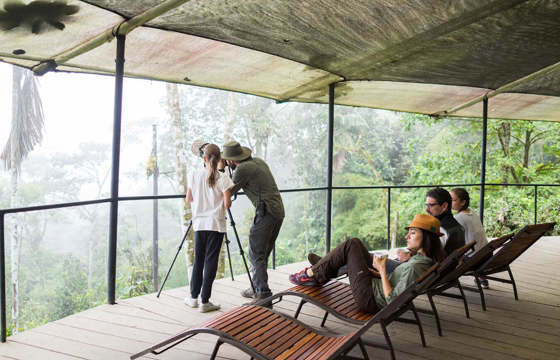 The observation deck