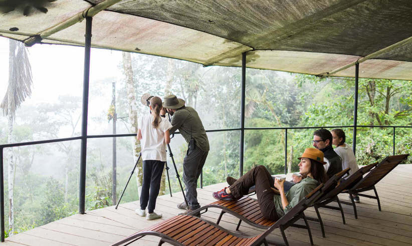 The observation deck