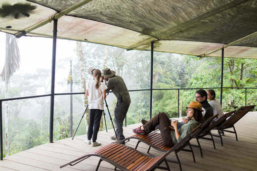 The observation deck