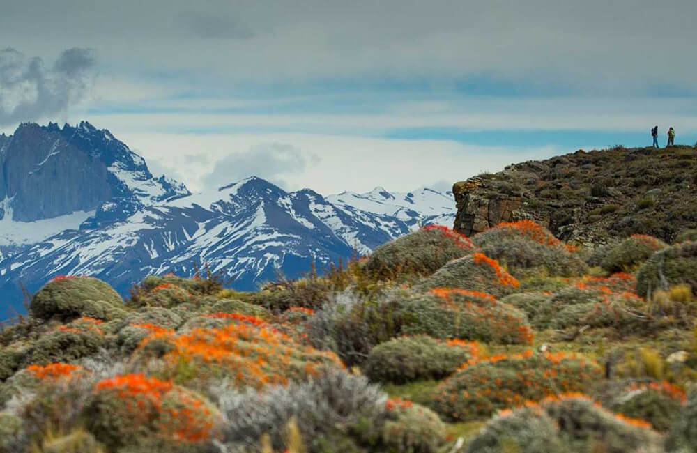 Tierra Patagonia (5).jpeg