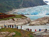 The awe-inspiring Amalia Glacier 