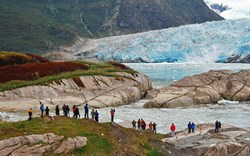 The awe-inspiring Amalia Glacier 
