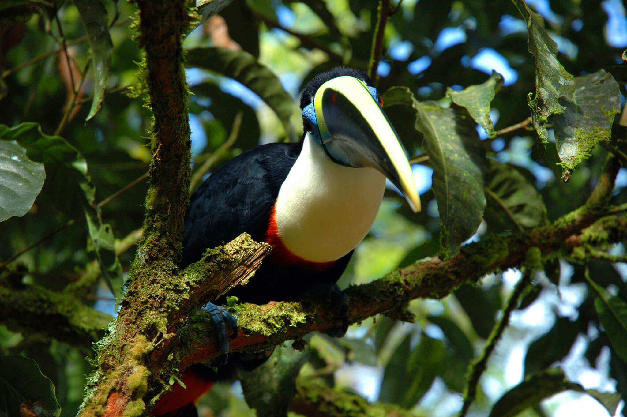 Exotic birdlife awaits