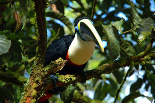 Exotic birdlife awaits