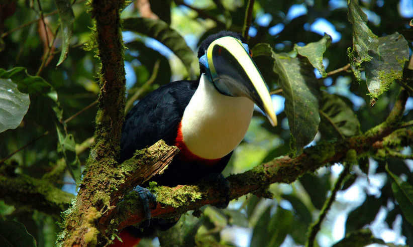 Exotic birdlife awaits