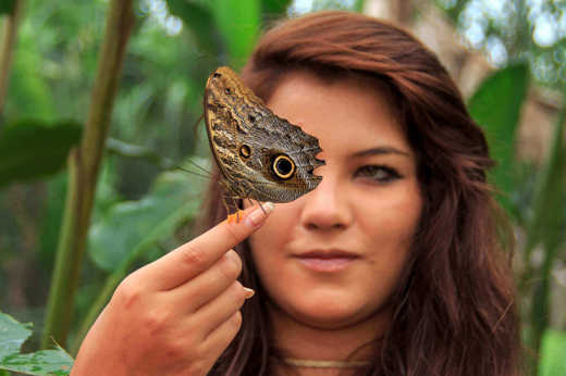 Explore the rainforest