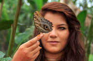 Explore the rainforest