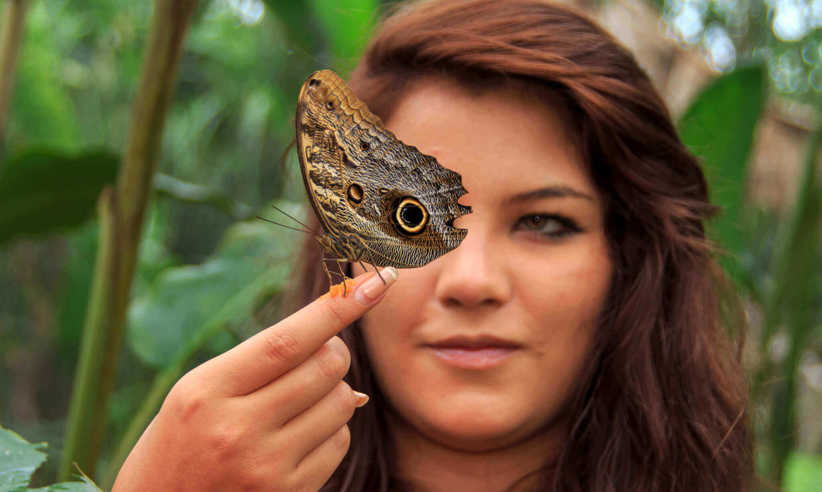 Explore the rainforest