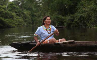 Image for: Manatee Amazon Cruise in Ecuador (46).jpg