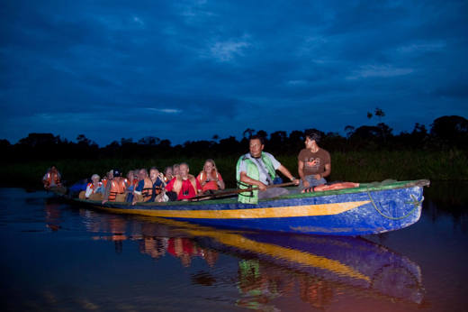 Adventure at night into the rainforest