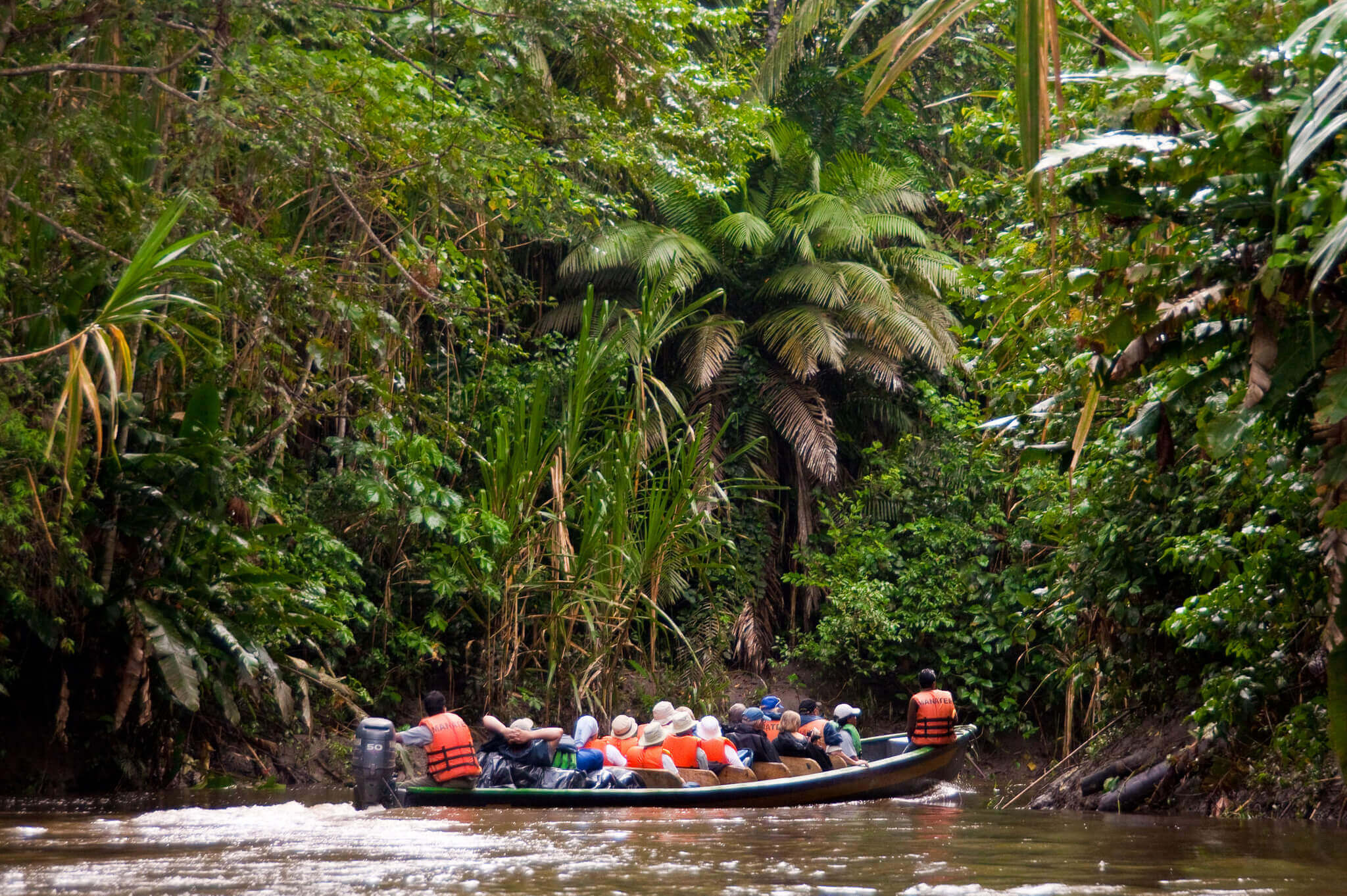 Guided excursions by canoe into the heart of the rainforest