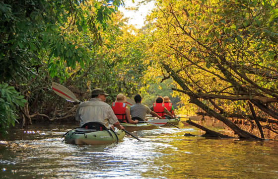Exploring remote streams by canoe