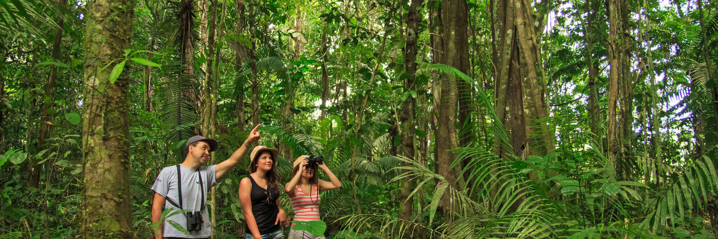 Discover the rainforest with expert guides