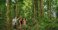 Discover the rainforest with expert guides