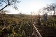 Admire the views of the canopy 