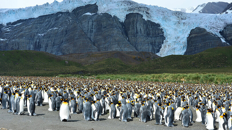 Sea Spirit Antarctica Cruise