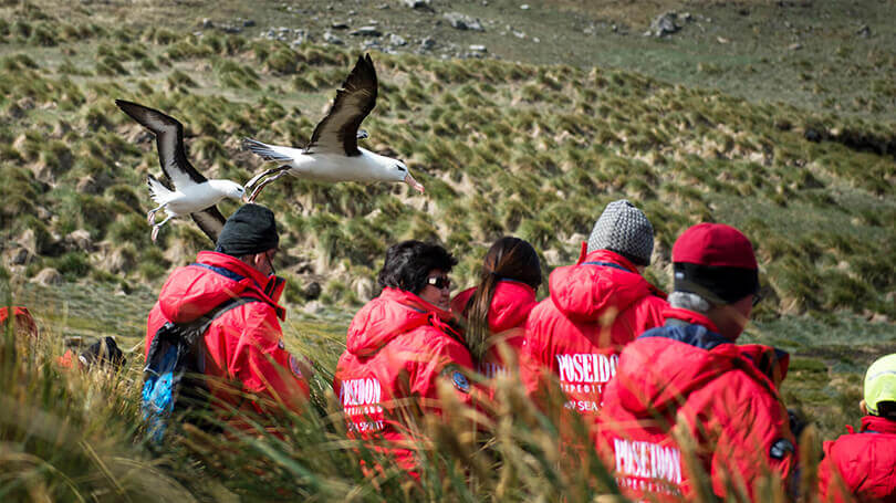 Expert naturalists guide you on land excursions