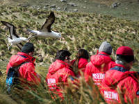 Expert naturalists guide you on land excursions