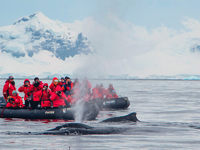 Sea Spirit Antarctica Cruises zodiac adventures