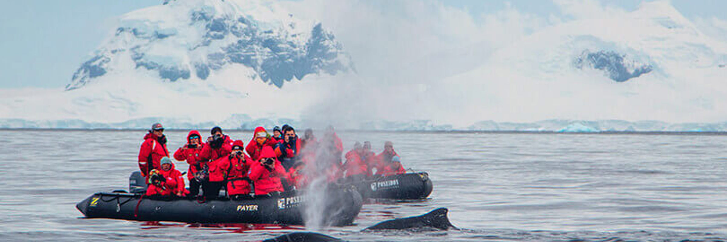 Sea Spirit Antarctica Cruises zodiac adventures