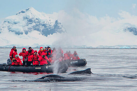 Sea Spirit Antarctica Cruises zodiac adventures