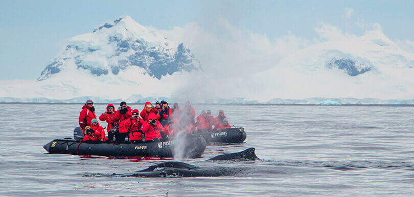 Sea Spirit Antarctica