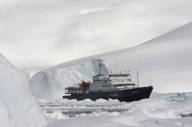 Plancius Antarctica Cruise Ship (8).jpeg