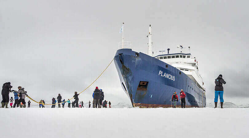 Plancius Antarctica