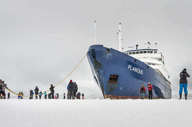 Plancius Antarctica