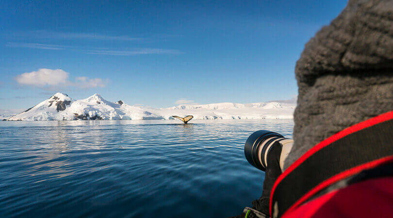Plancius Antarctica 