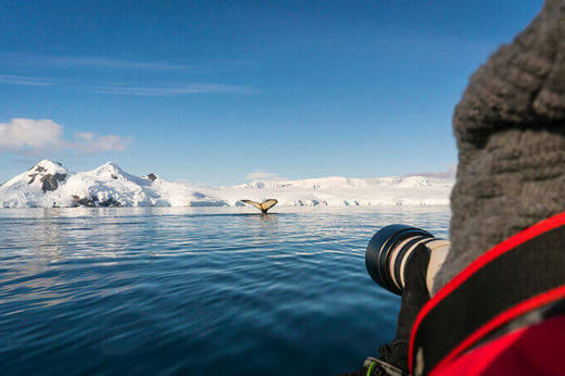 Plancius Antarctica 